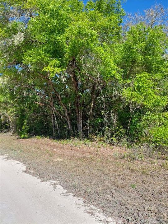 Recently Sold: $39,000 (1.28 acres)