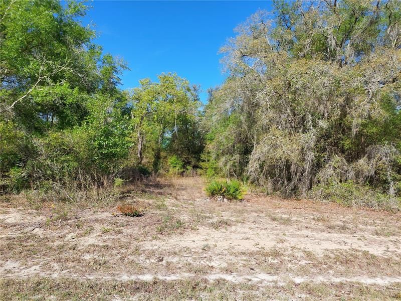 Recently Sold: $39,000 (1.28 acres)