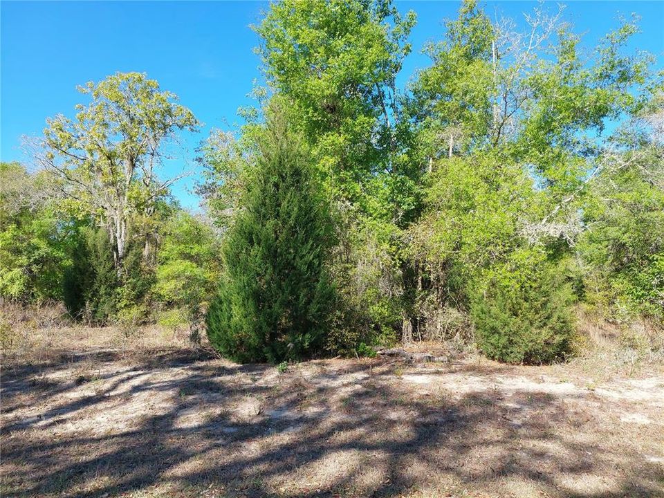 Recently Sold: $39,000 (1.28 acres)