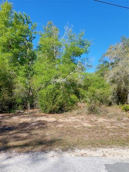 Recently Sold: $39,000 (1.28 acres)