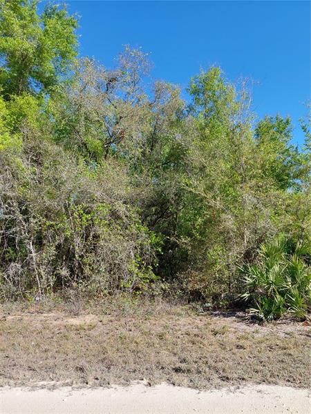 Recently Sold: $39,000 (1.28 acres)