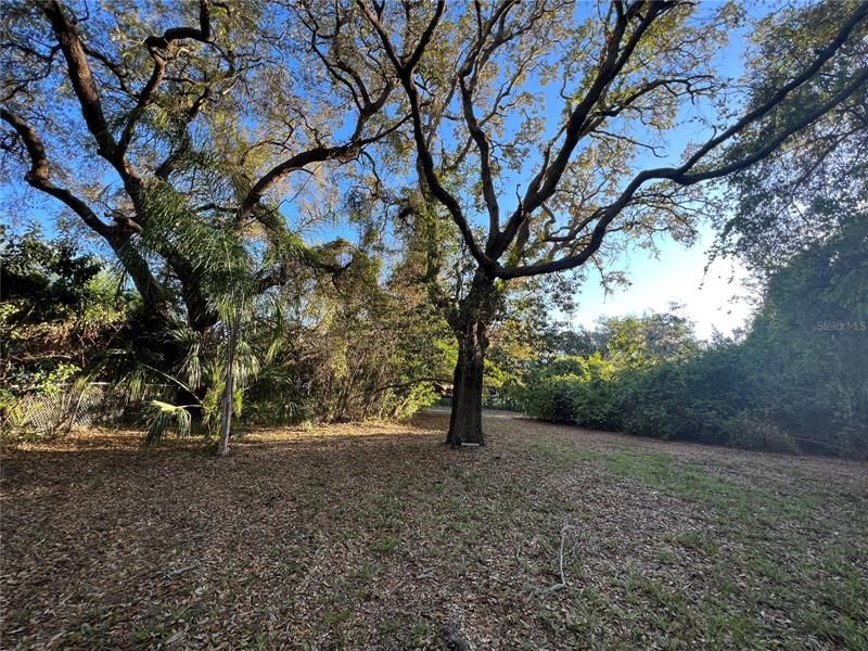 Beautiful mature trees on this huge one-acre lot!