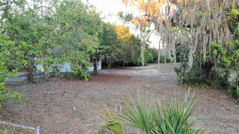 Hard to find nearly one-acre lot in Pinellas County ready for your dream home!