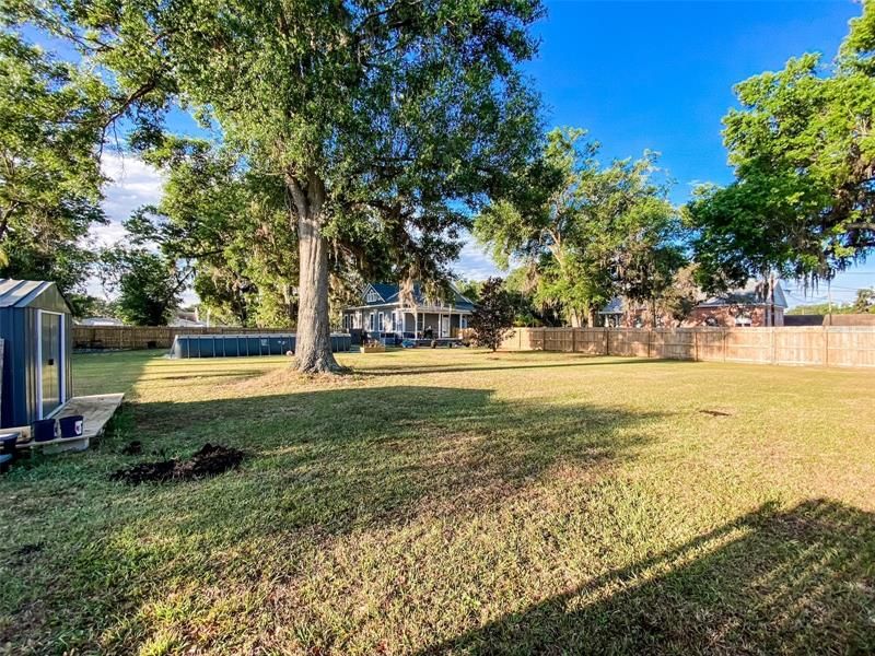 Backyard looking towards house