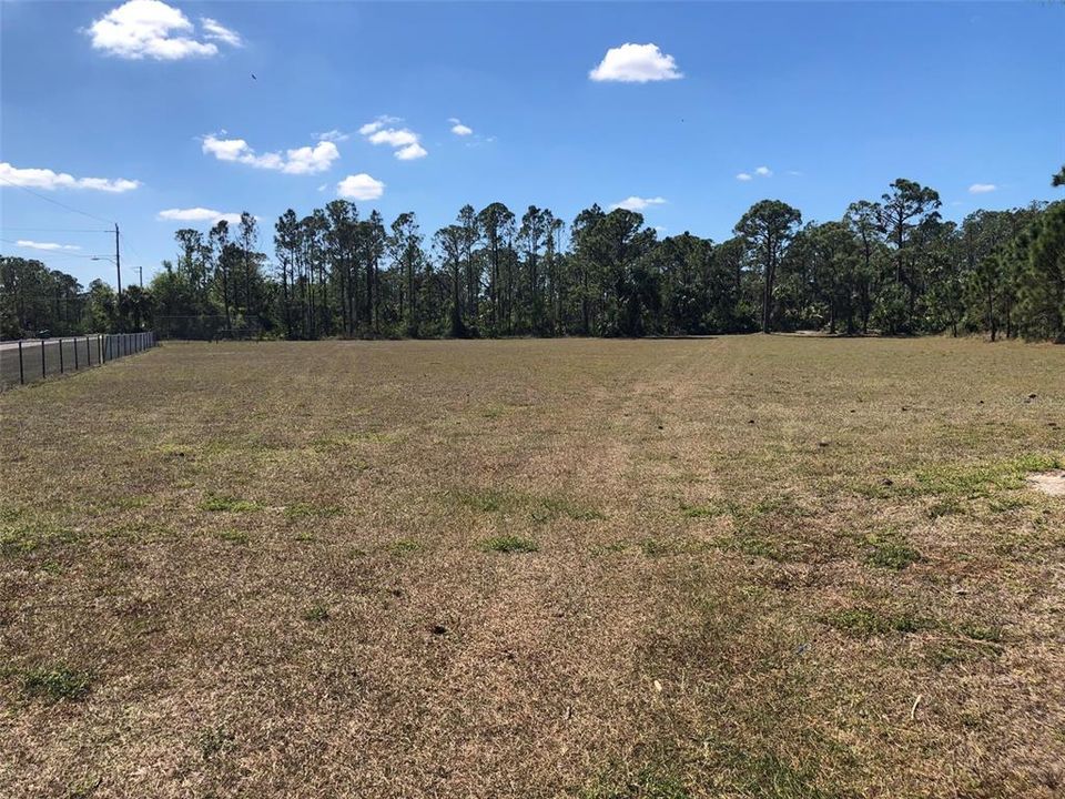 Bissett Park - Open space for Soccer/Baseball/Footbal, etc