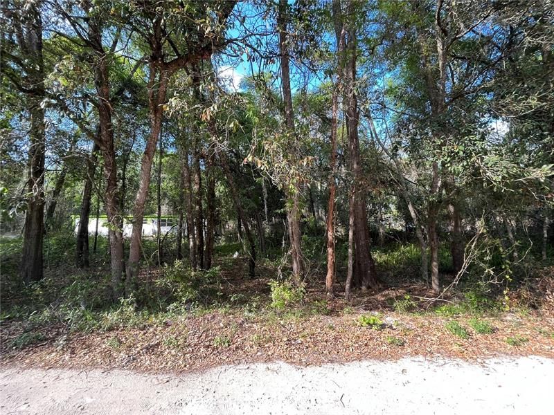 Recently Sold: $7,900 (0.24 acres)