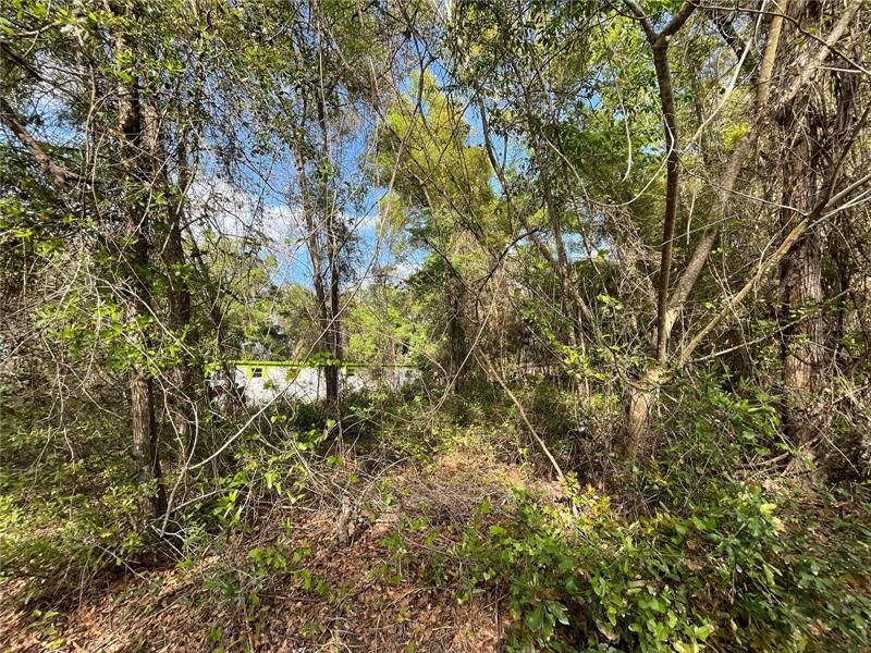 Recently Sold: $7,900 (0.24 acres)
