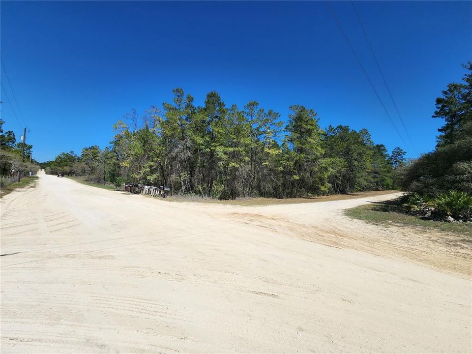 Corner Lot of Husky and Stargazer