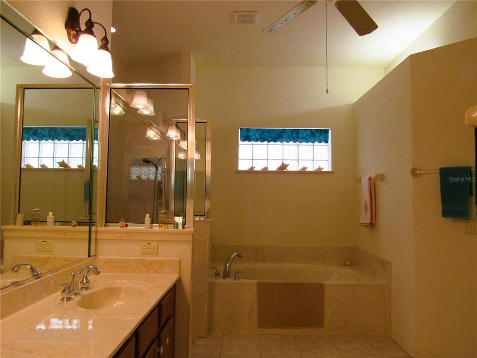 Owner's Suite Bath w/ Soaking Tub, Walk-In Shower, High Ceiling, His/Her Sinks + More..