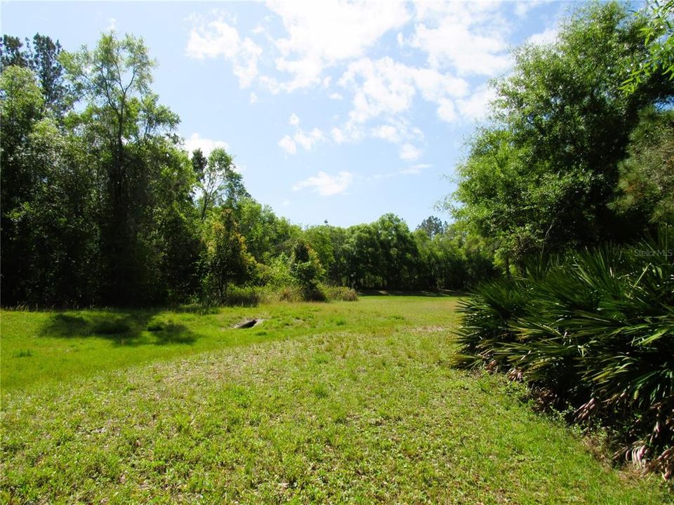 Beautiful View of The Greenbelt / DRA From Your Back Yard!