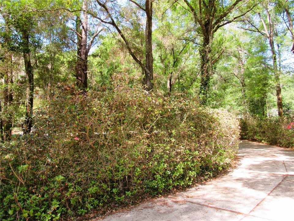 Long Winding Driveway To Stunning Property Featuring a Natural Oasis!