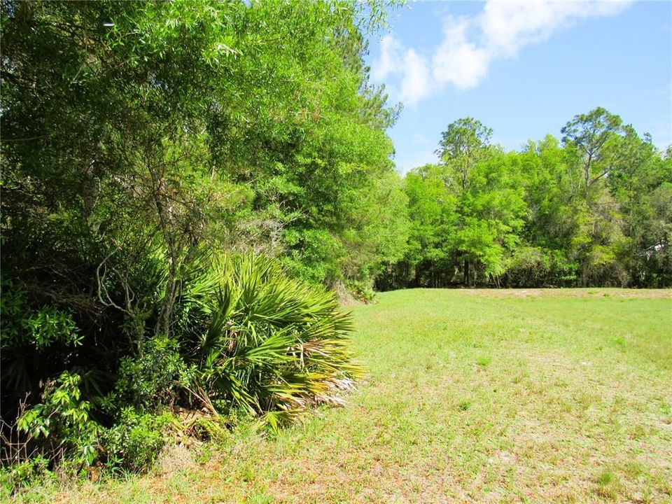 Another Gorgeous View From Back Yard Of the Home!