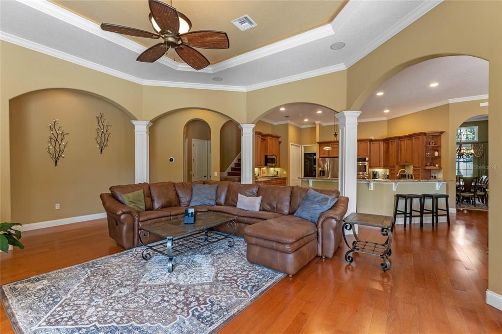 Family room combined with kitchen and dinette.