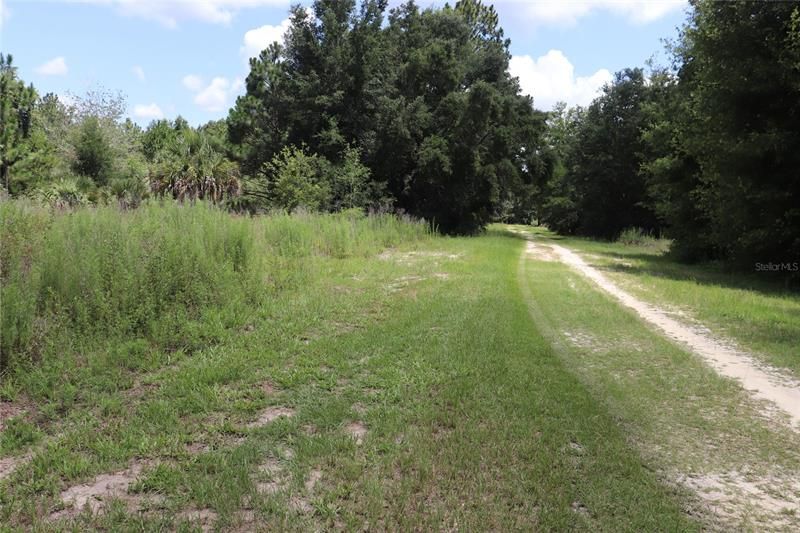 Active With Contract: $11,450 (0.23 acres)
