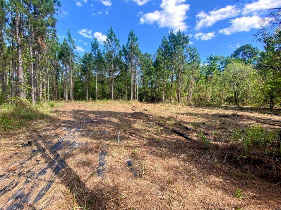 Recently Sold: $215,000 (5.00 acres)