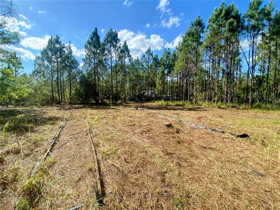 Recently Sold: $215,000 (5.00 acres)