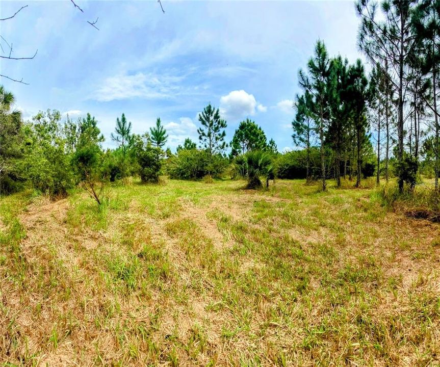 Recently Sold: $215,000 (5.00 acres)