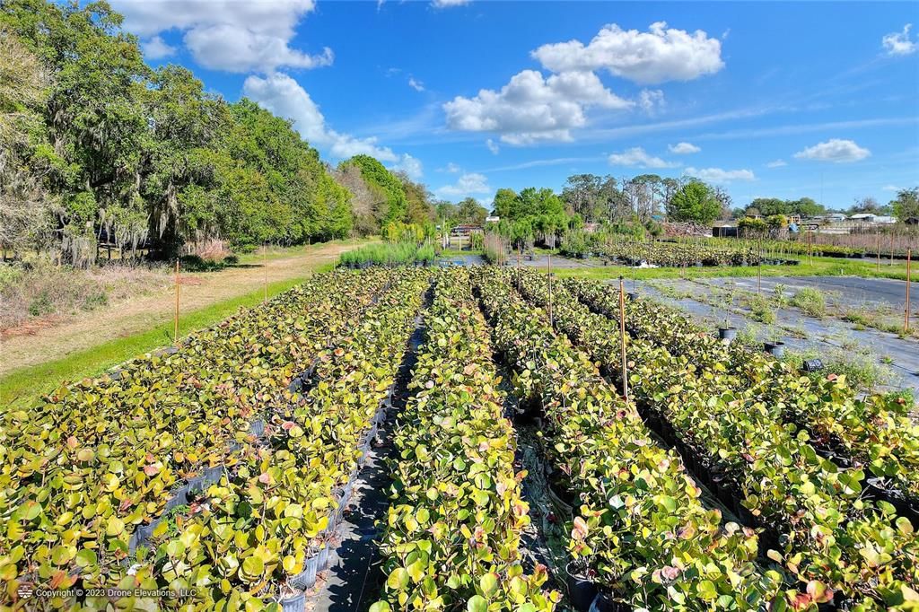 На продажу: $950,000 (14.02 acres)