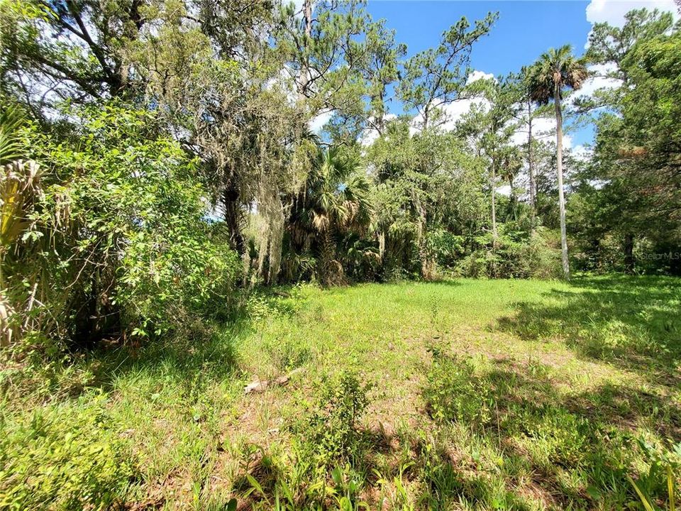 Recently Sold: $250,000 (0.52 acres)