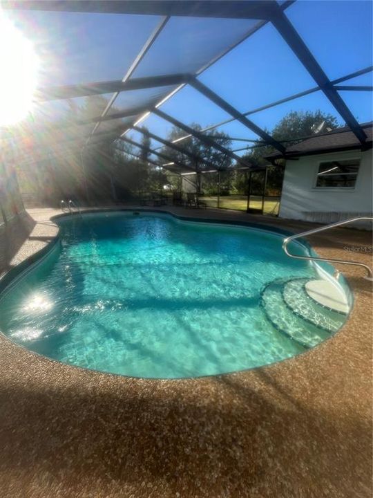 Large caged swimming pool and lanai