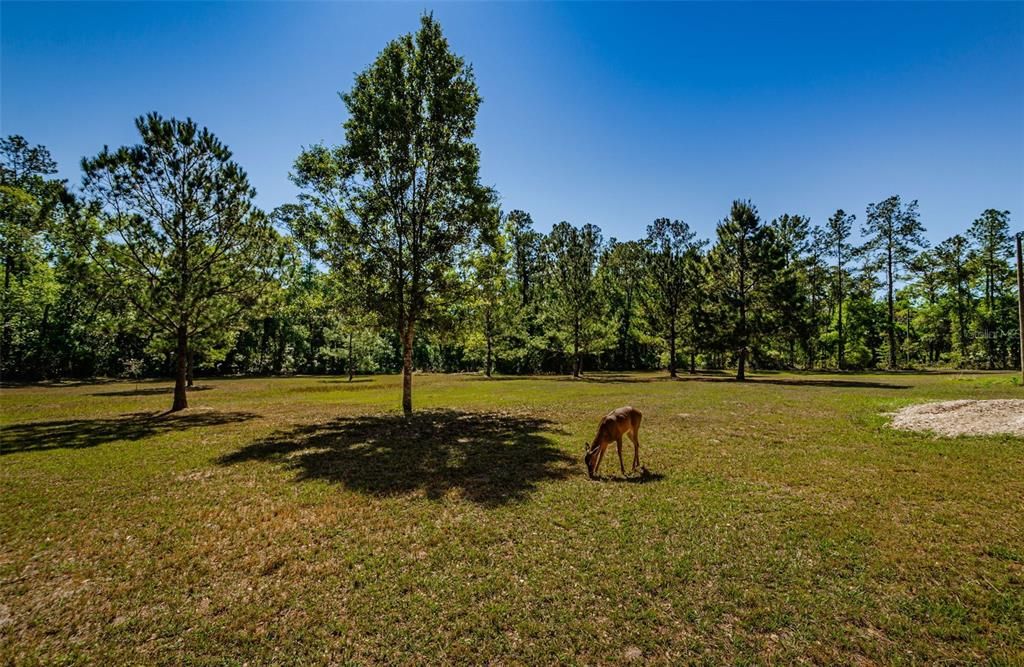 Vendido Recientemente: $675,000 (3 camas, 2 baños, 1774 Pies cuadrados)