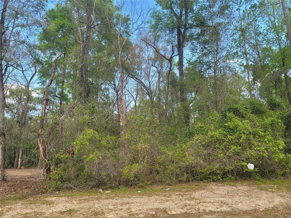 Recently Sold: $43,000 (0.46 acres)
