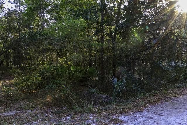 Recently Sold: $14,000 (0.61 acres)