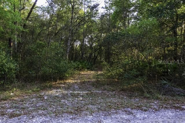 Recently Sold: $14,000 (0.61 acres)