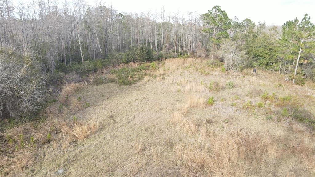 For Sale: $199,900 (5.42 acres)