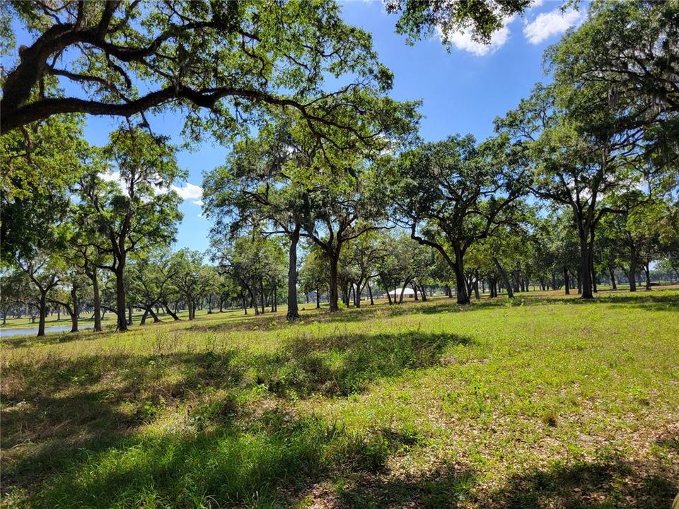 For Sale: $795,000 (16.81 acres)