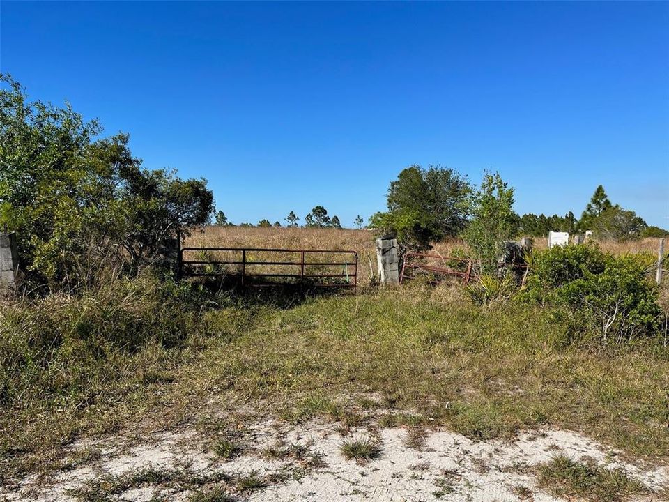 Entrance on south side of property.  Gate is broken so squeeze through the gap between the column and the gate to view property.  House or barn pad is elevated behind the gate in the distant view.