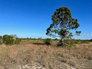 View to the SE from the pad.