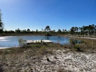 Pond on the property,.