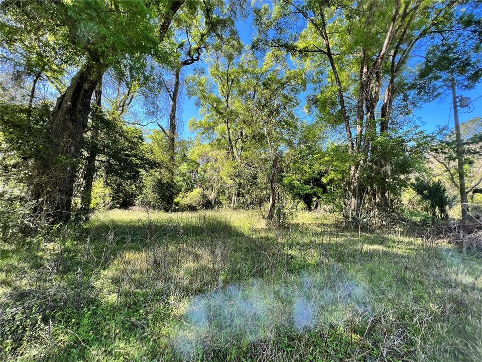 Recently Sold: $27,500 (0.33 acres)