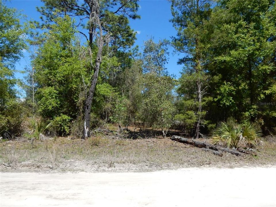 Recently Sold: $25,000 (1.25 acres)