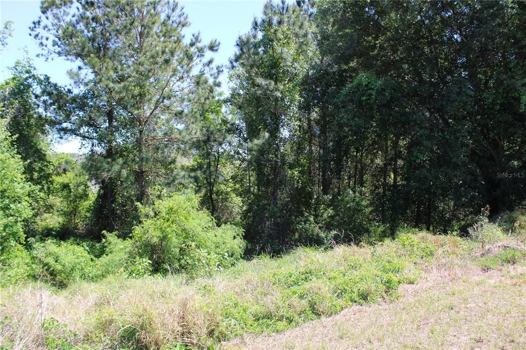 Recently Sold: $60,000 (0.13 acres)
