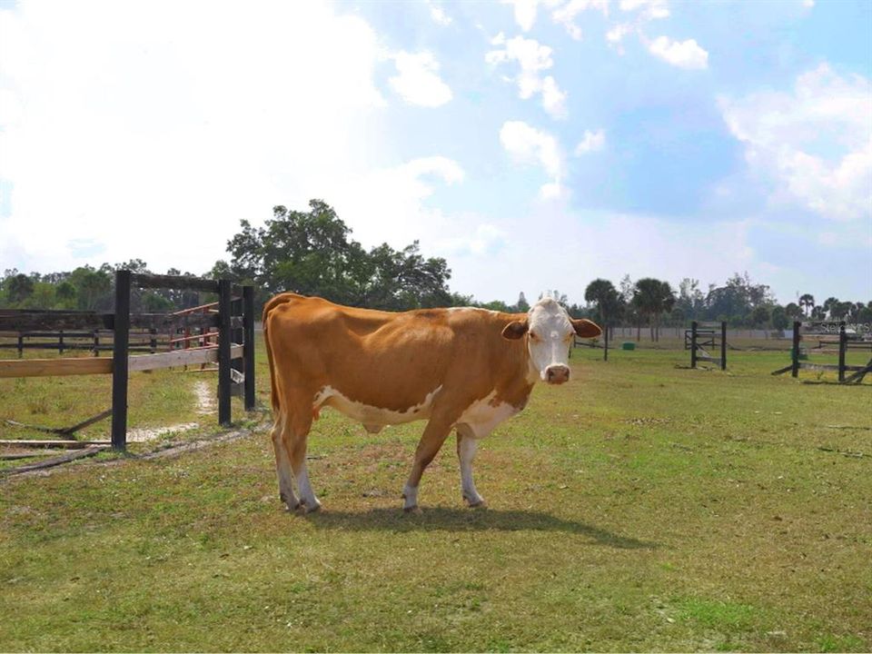 For Sale: $19,999,000 (101.27 acres)
