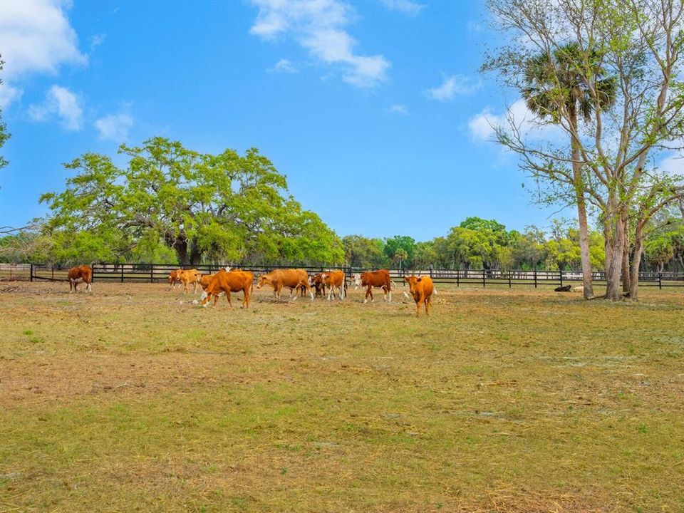 For Sale: $19,999,000 (101.27 acres)