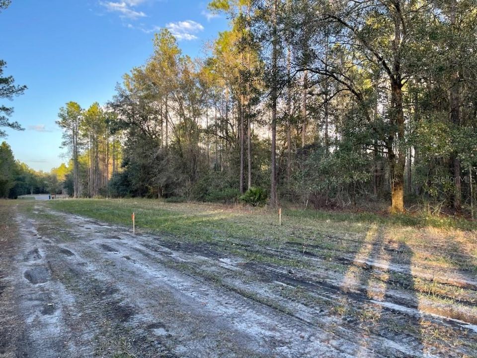 For Sale: $189,900 (8.62 acres)