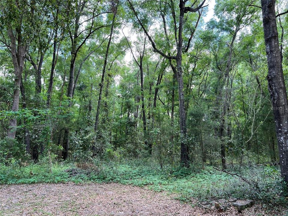 State wooded property next door. Privacy