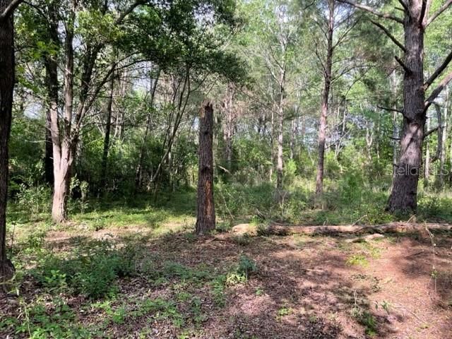 Vendido Recientemente: $25,750 (2.05 acres)