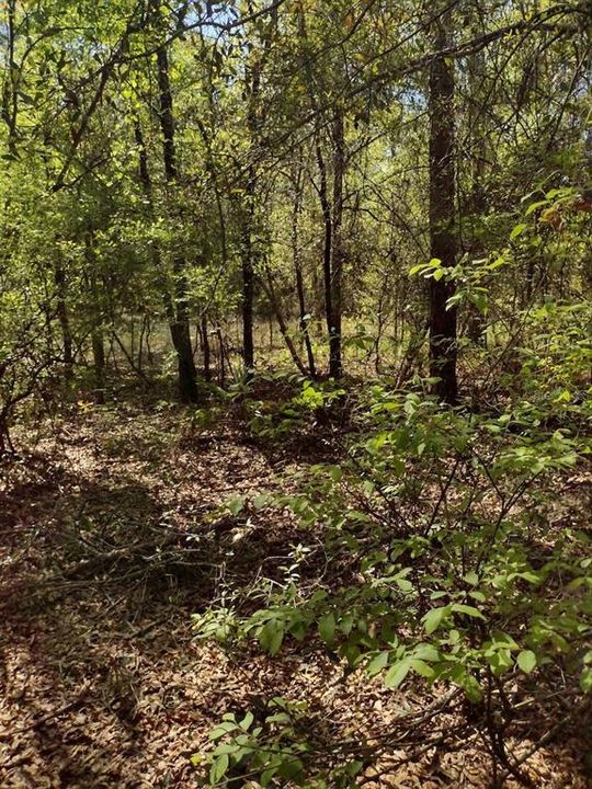 Recently Sold: $15,750 (1.11 acres)