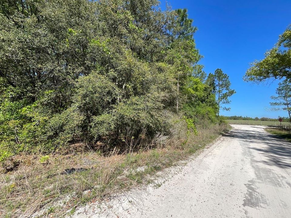 Recently Sold: $15,750 (1.11 acres)