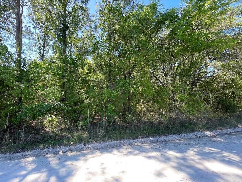 Recently Sold: $15,750 (1.11 acres)