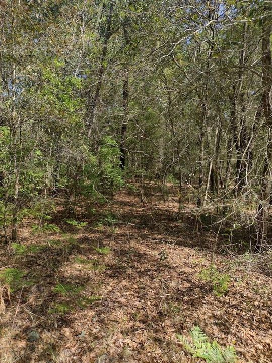 Recently Sold: $15,750 (1.11 acres)