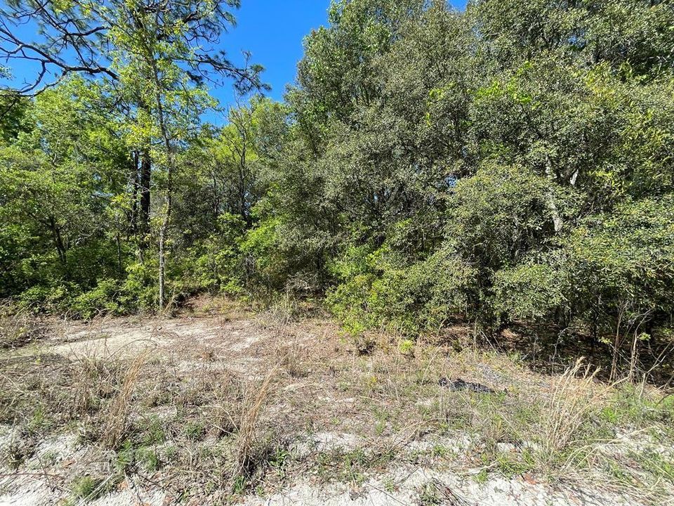 Recently Sold: $15,750 (1.11 acres)