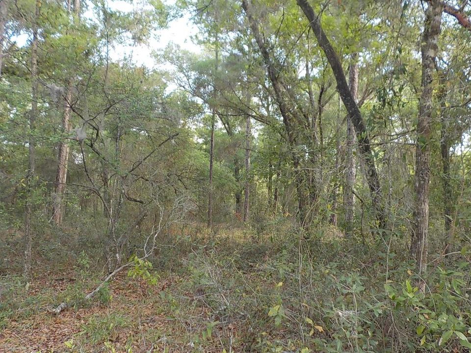 Recently Sold: $14,995 (0.26 acres)