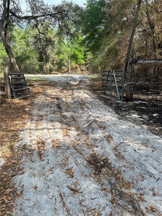 Driveway Entrance to property