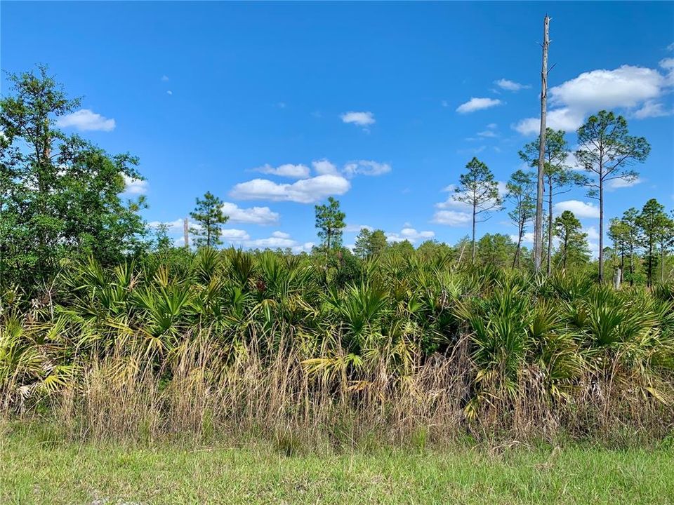 Recently Sold: $20,000 (1.09 acres)