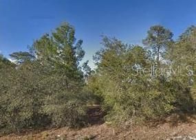 Recently Sold: $10,000 (0.23 acres)